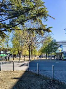breite Weg mit Bäumen, Messehalle im Hintergrund